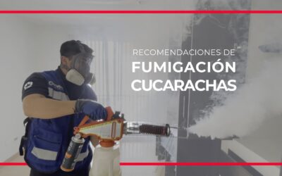 Fumigación para empresas Monterrey